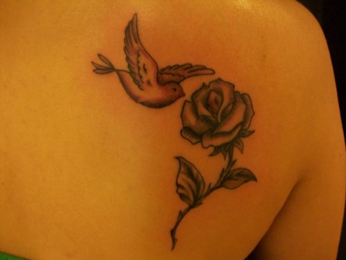 Red Rose And Flying Dove Tattoo On Right Back Shoulder