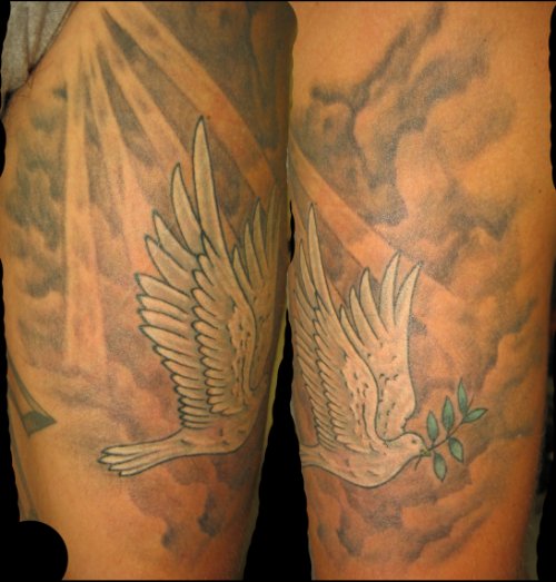 Flying Dove Tattoo On Bicep