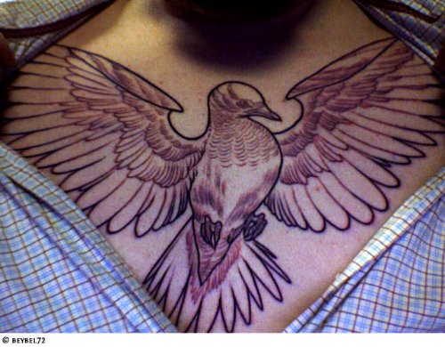 Open Wings Dove Tattoo On Chest