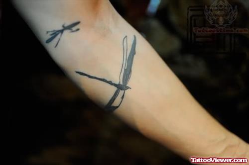 Dragonflies Tattoos On Arm