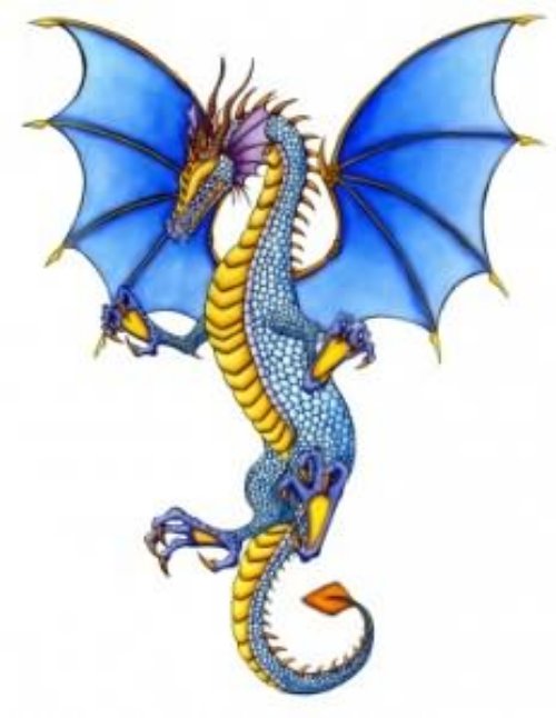 Coloured Dragon Tattoo Design