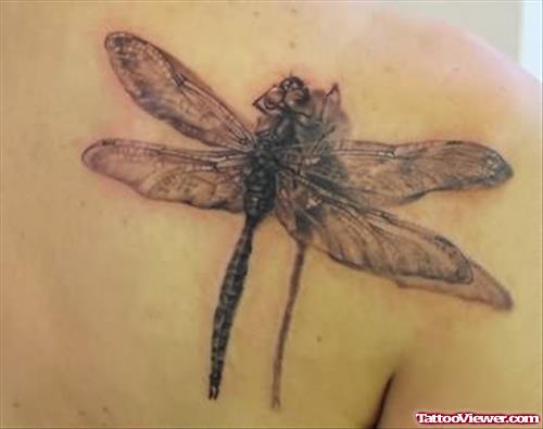 Realistic Dragonfly Tattoo On Back Shoulder