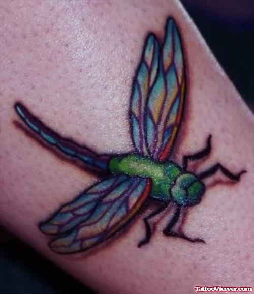 Excellent Dragonfly Tattoo