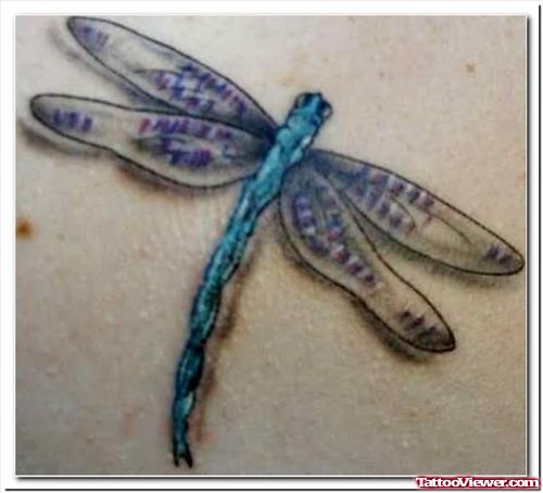 Dragonfly Tattoos For Body