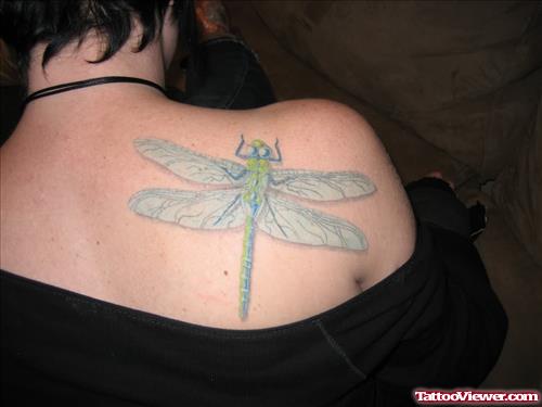 Dragonfly Tattoo on Shoulder for Female