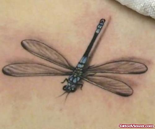 Dragonfly Tattoo for Young Girls