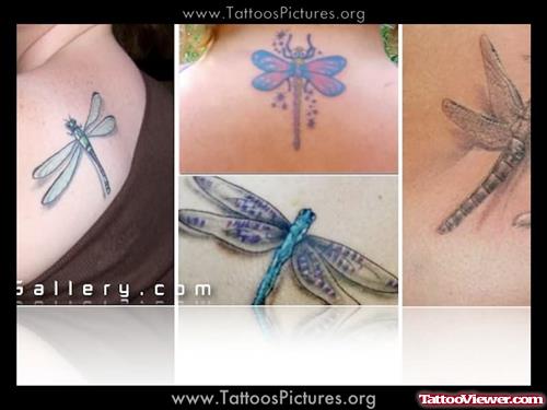 Dragonfly Tattoo Designs Gallery