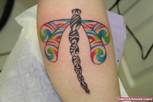 Colourfull Dragonfly Tattoo
