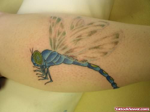 Wonderful Dragonfly Tattoo On Arm