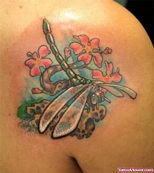 Dragonfly Tattoos On Right Shoulder