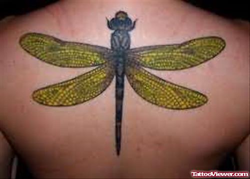 Big Dragonfly Tattoo On Back Body
