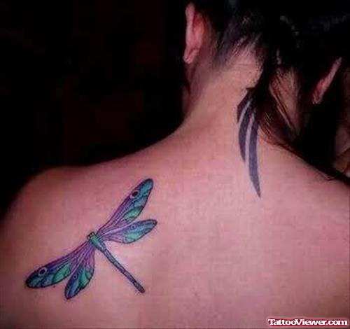 Beautiful Dragonfly Tattoo On Shoulder Blade