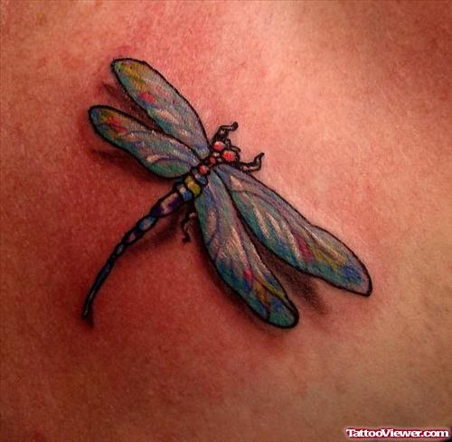 New Style Dragonfly Tattoo
