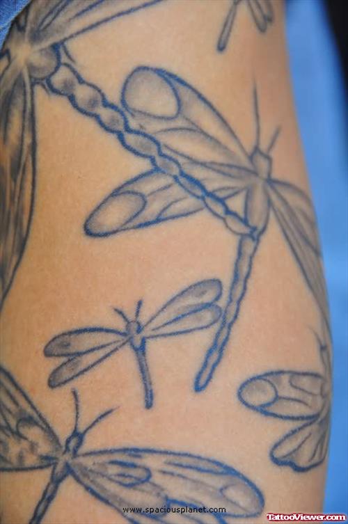 Attractive Dragonflies Tattoo