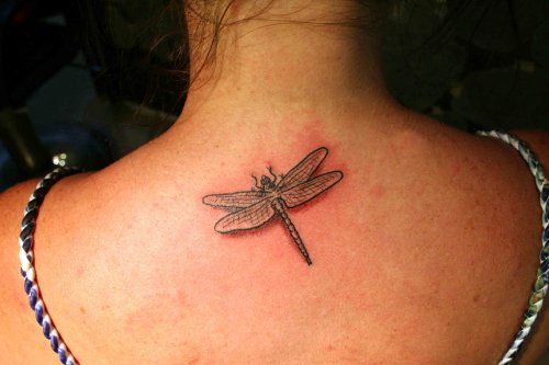 Upper Back Small Dragonfly Tattoo For Girls
