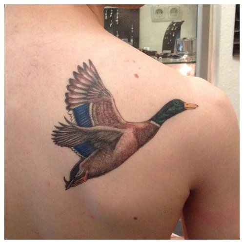 Right Back Shoulder Color Flying Duck Tattoo