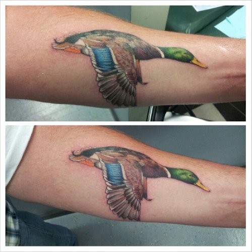 Flying Colored Tattoo On Left Arm