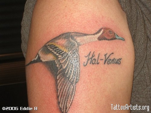 Hal Venus – Flying Duck Tattoo On Bicep