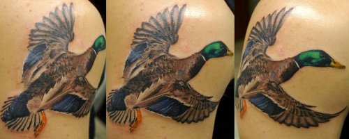 Flying Duck Shoulder Tattoo