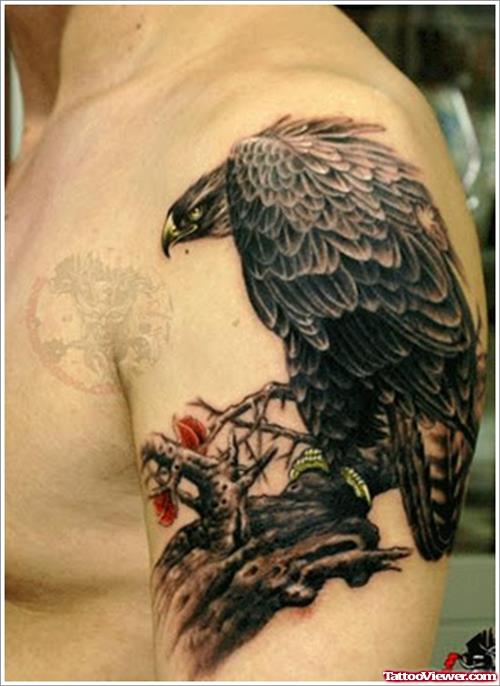 Eagle Tattoo On Man Left Shoulder