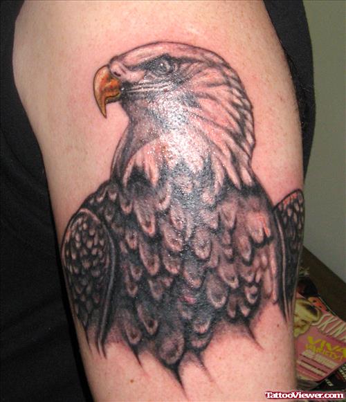 Great Colored Eagle Head Tattoo