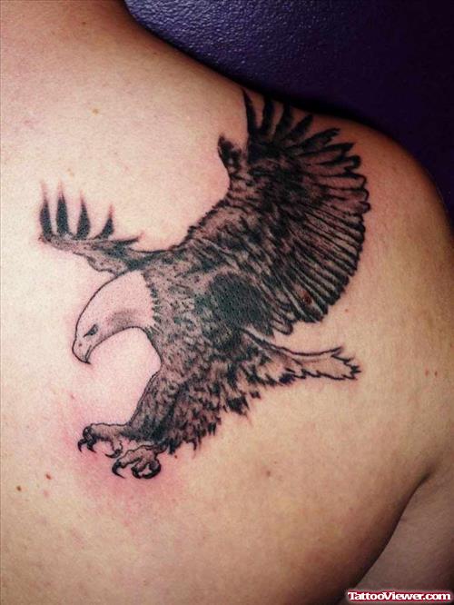 Grey Ink Eagle Flying Tattoo On Right Back Shoulder