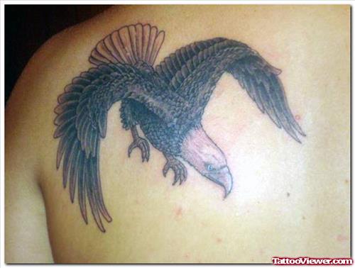 Left Back Shoulder Flying Eagle  Tattoo