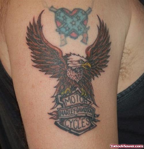 Harley Davidson Eagle Tattoo On Right Shoulder