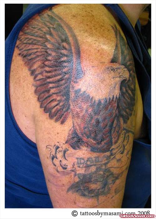 Flying Eagle Tattoo On Man Right Shoulder