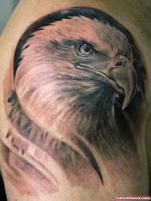 Beautiful Eagle Head Tattoo on Shoulder