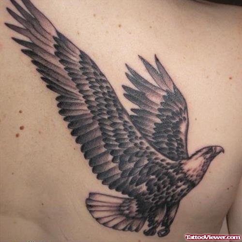 Grey Ink Flying Eagle Tattoo On Back Shoulder