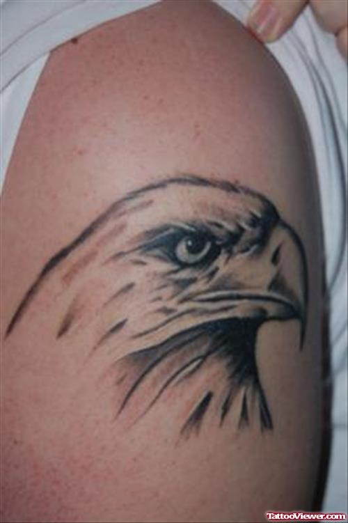 Grey Ink Eagle Head Tattoo On Shoulder