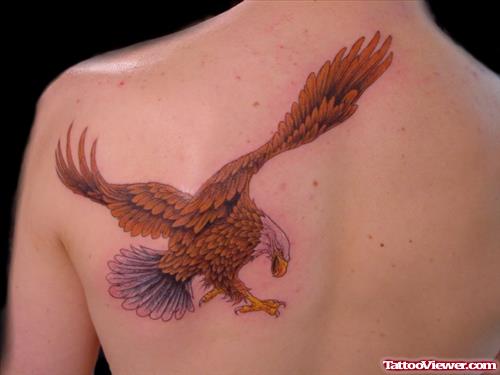 Left BAck Shoulder Eagle Tattoo