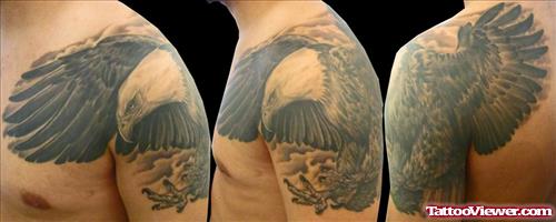 Bald Eagle Tattoo On Shoulder