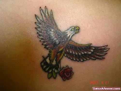 Terrific Eagle With Rose Tattoo