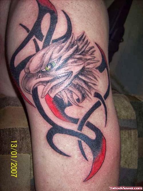 Red And Black Tribal Eagle Head Tattoo