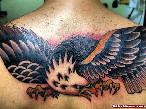 Flying Eagle Colore Ink Tattoo On Upperback