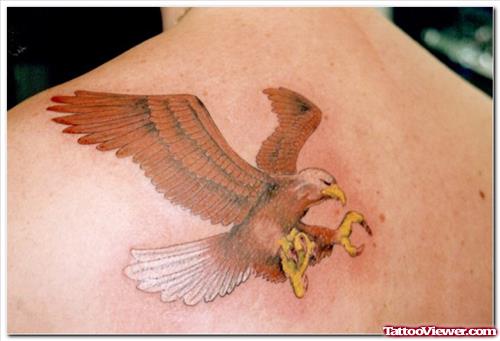 Colored Eagle Flying Tattoo On Back