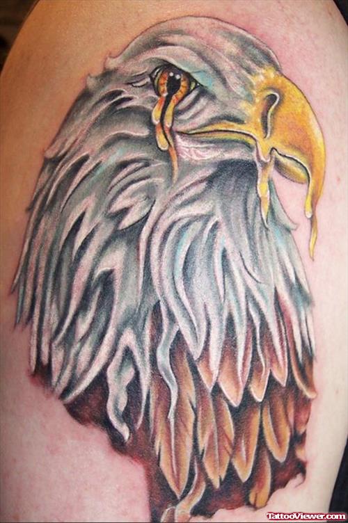 Beautiful Eagle Head Tattoo
