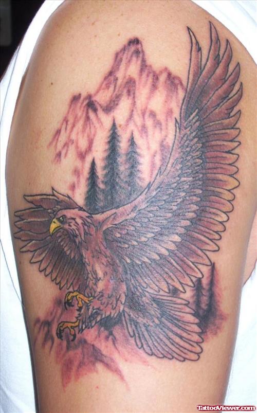 Colored Flying Eagle Tattoo On Half Sleeve