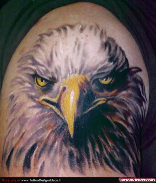 angry Eagle Head Tattoo On Shoulder