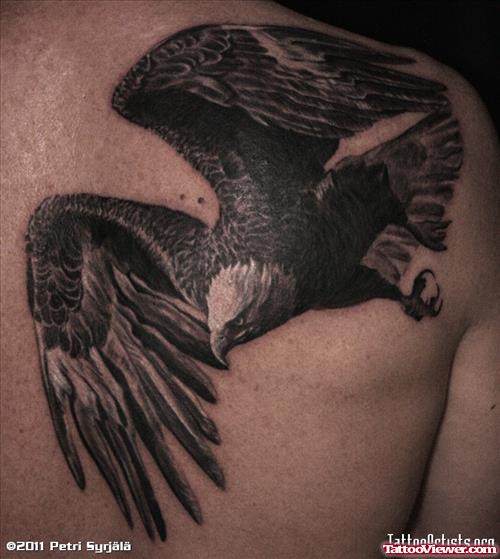 Eagle Back SHoulder Tattoo