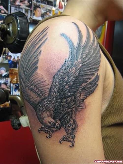 Eagle Tattoo For  Shoulder