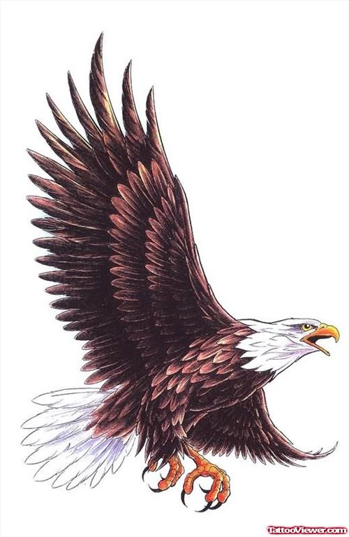 Eagle Sample For Tattoo
