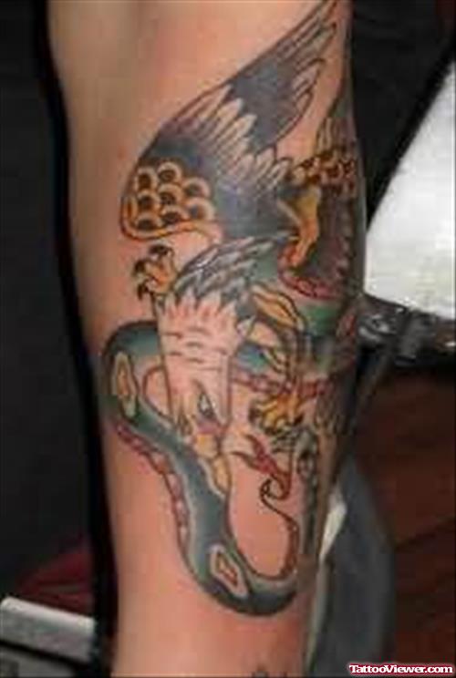 Snake And Eagle Fight Tattoo