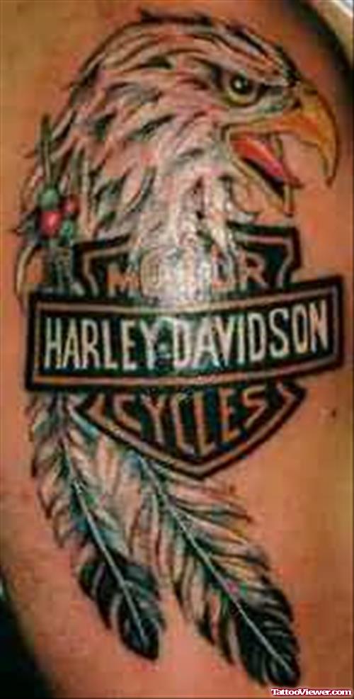 Harley Davidson Eagle Tattoo On Shoulder