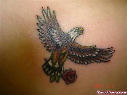 Terrific Eagle Tattoo