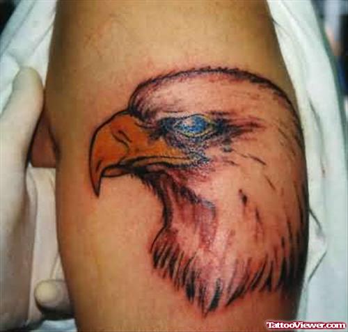 Red Face Eagle Tattoo On Bicep