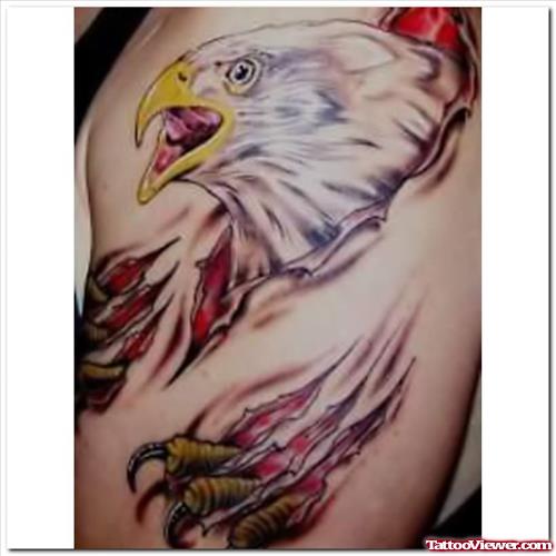 Crawling Eagle Tattoo Design On Shoulder
