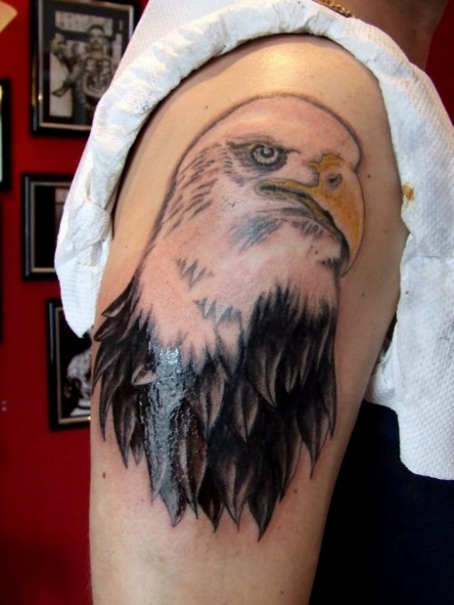 Black And White Ink Eagle Head Tattoo on shoulder